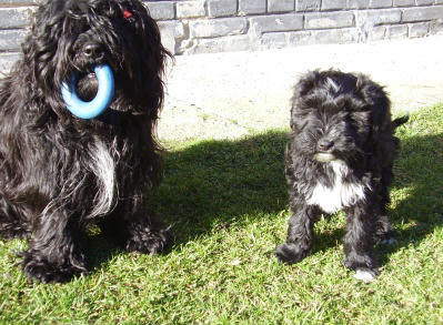 Cassi and Andulka